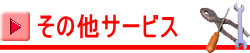 その他サービス